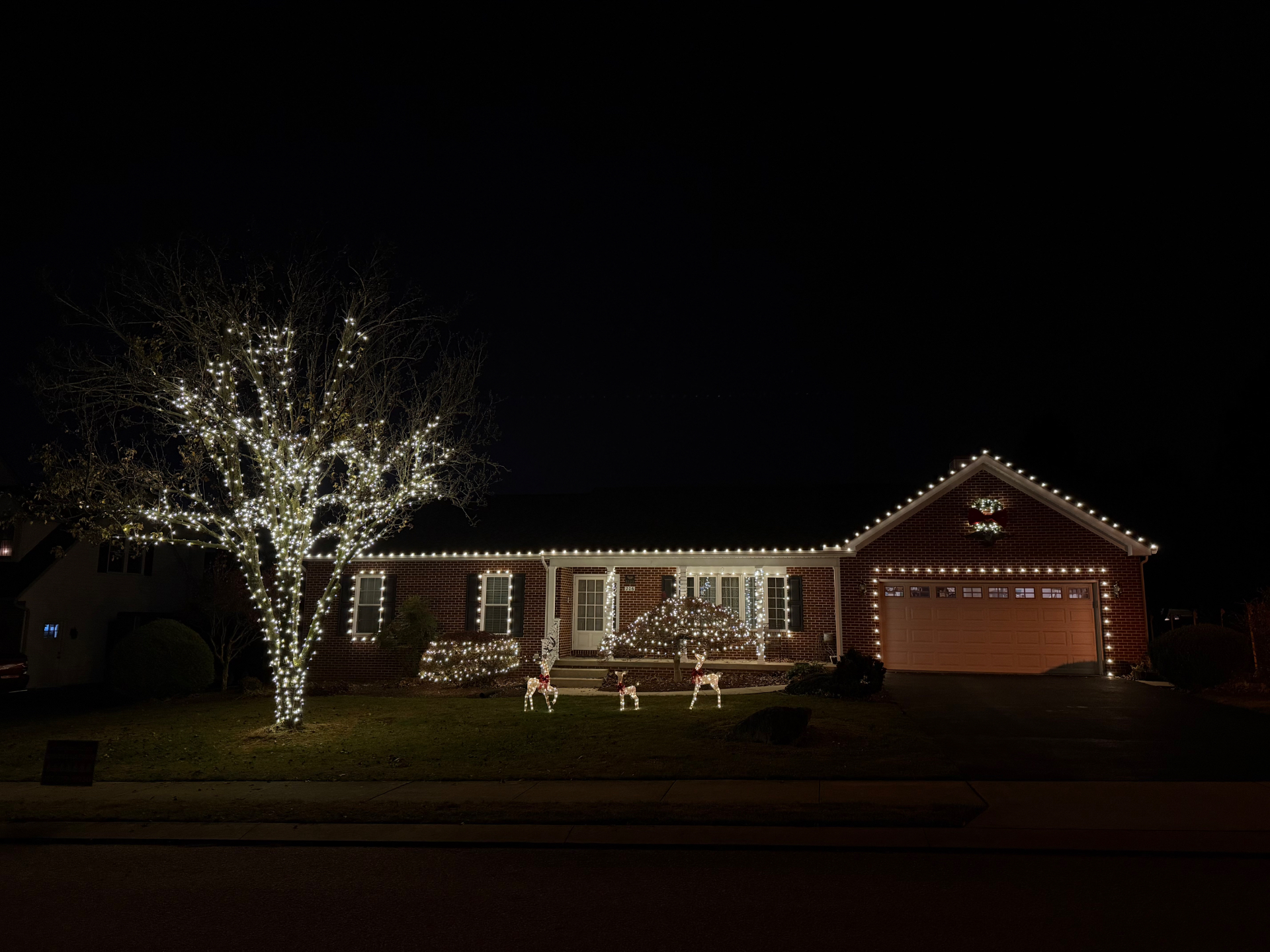 Brick home with roofline lights and fully wrapped mini light tree